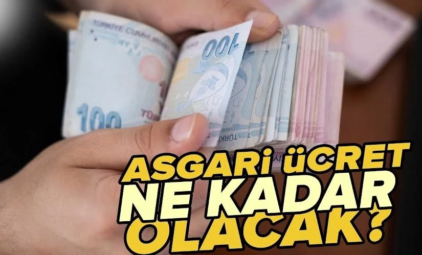 Asgari ücrette halkın nabzı mı yoklanıyor?