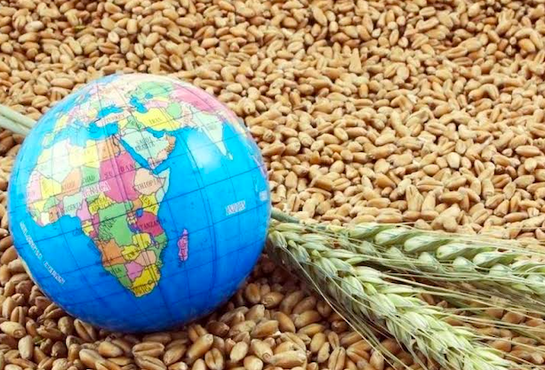 Bölgesel gelişmeler ışığında küresel gıda krizi