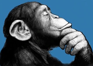 Geçmişin maymunları, günümüzde ne yapıyor?