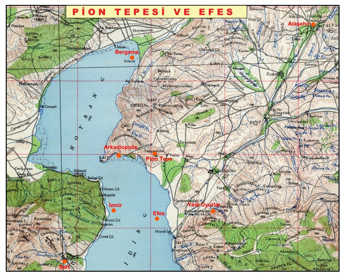 Pion Tepesi: Cybrilcymani: Sivri’l-Semmânî: Yağcı Sivrisi