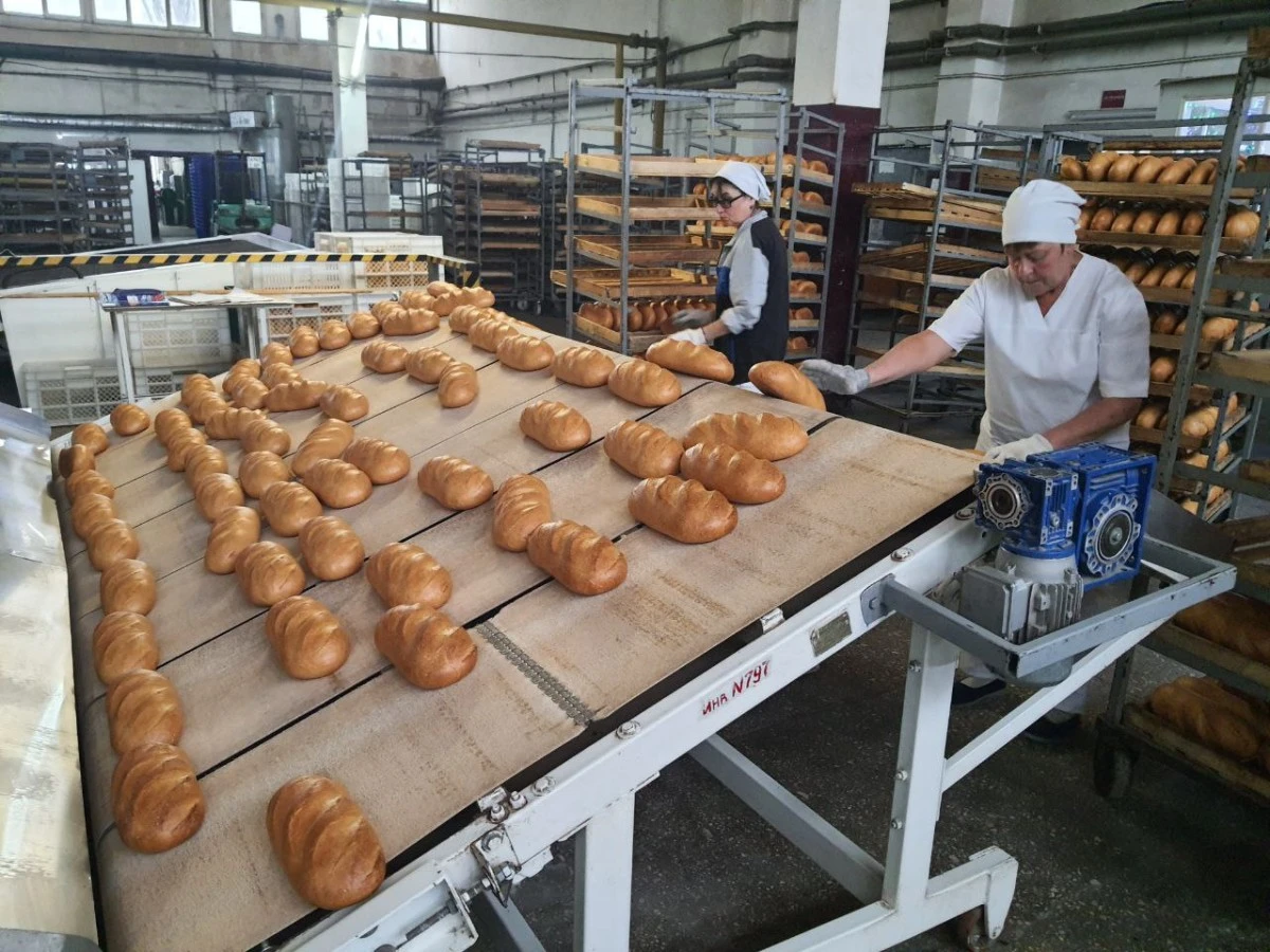 Rusya’nın yeni bölgelerinden Zaporojye Eyaleti’nde bir ekmek fabrikası ziyaretinden izlenimler