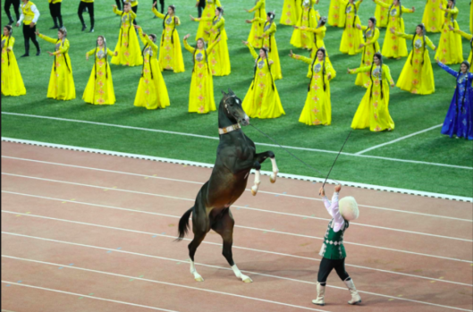 Zarafetleriyle ünlü Türkmenistan’ın "Ahal Teke” atları -Dünyanın En Güzel Atları-