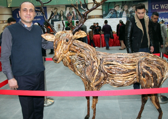 Palu'da ağaç kökleri, sanata dönüştü