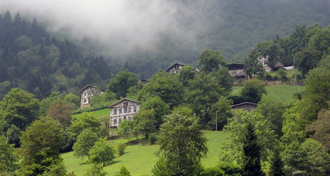 Karadeniz, şifanın doğal eczanesi