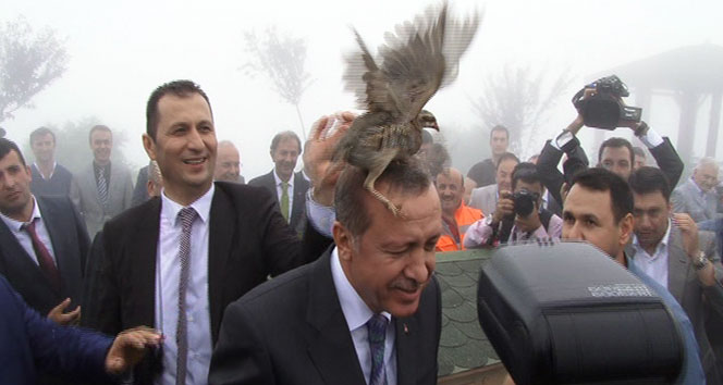 Erdoğan'ın başına keklik kondu