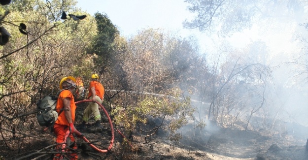 Lüks villalarda orman yangını paniği