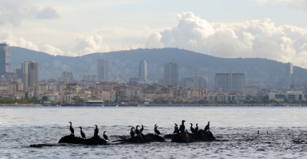 İstanbul’un kayıp adası gün yüzüne çıkıyor