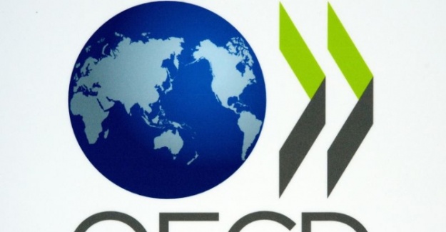 OECD Türkiye’nin büyüme tahminini düşürdü