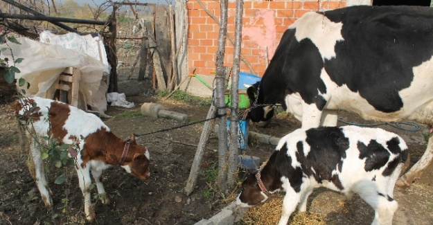 Bu milyonda bir kez oldu hem de Türkiye’de...