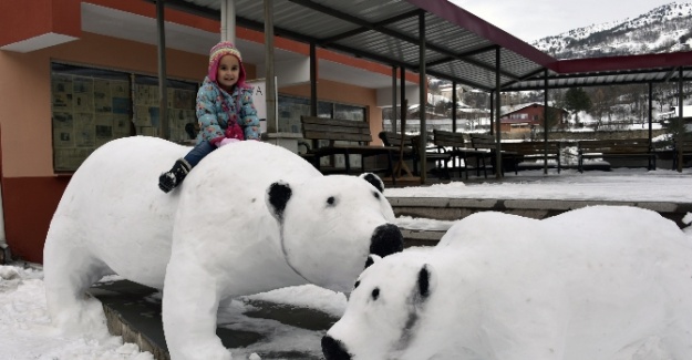 Bu da kardan kutup ayısı