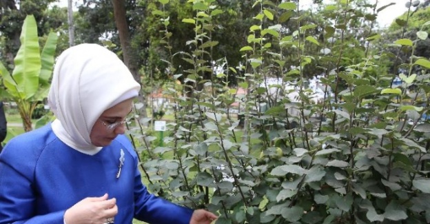 First Lady, Peru’da botanik bahçesini inceledi
