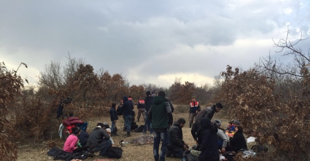 Edirne’de 23 kaçak göçmen yakalandı