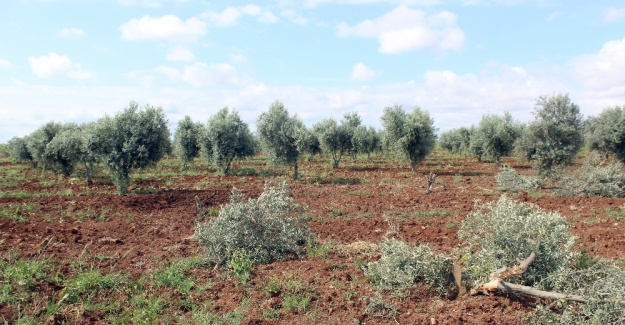 Kilis’e düşen roket mermisi 6 oldu