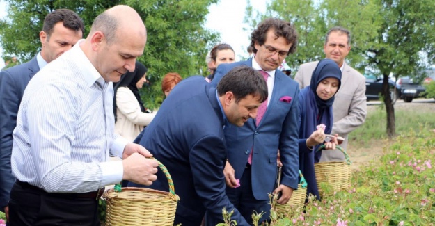 Bakan gül topladı