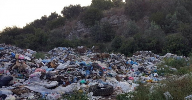 Belediye çöp kamyonları ile zeytinliği çöplüğe çevirdiler