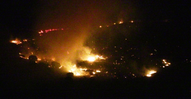 Alevler Bodrum’u sardı