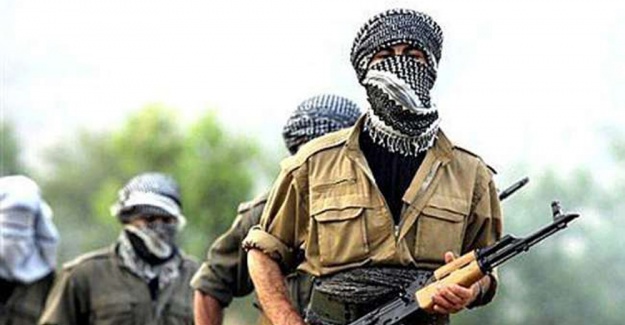PKK’nın üst düzey ismi yakalandı