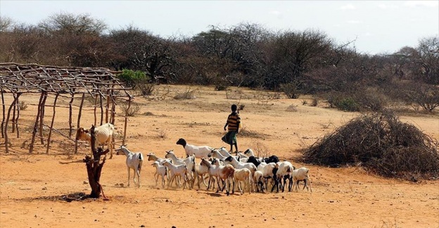 Afrika'nın 'kuraklık stratejisi' hazırlandı
