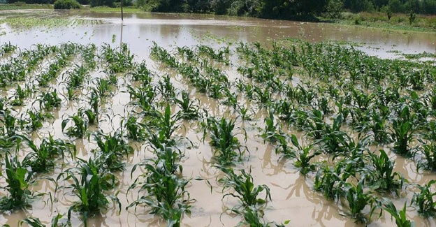 Afetlerden zarar gören üreticilerin kredi borçlarına 1 yıl erteleme
