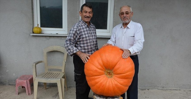 90 kilogramlık bal kabağı yetiştirdi
