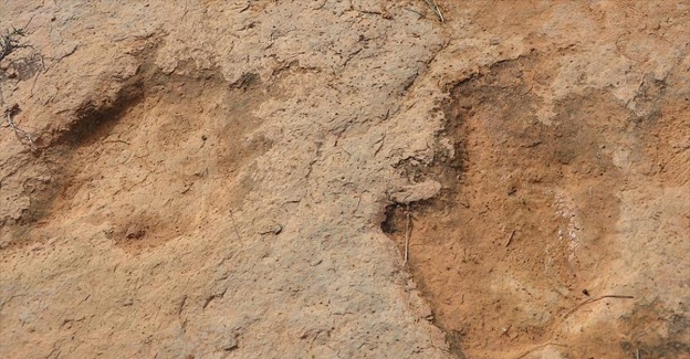 Gobi Çölü'nde dinozora ait ayak izi keşfedildi