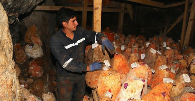 Mağarada bekletilen 'T&uuml;rk rokforu' Fransızların da ilgisini &ccedil;ekti