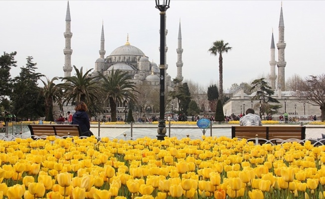 İstanbul'da Lale Zamanı