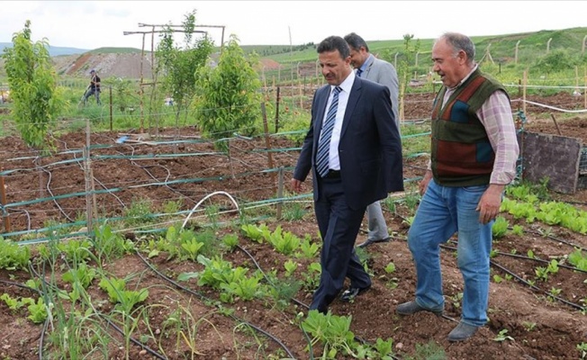 Akademisyenler hobi bahçelerinde stres atıyor