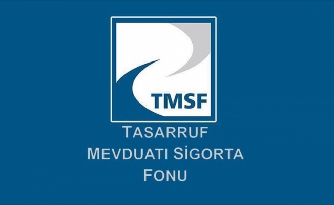 TMSF'nin kayyumluk yaptığı kurumlarda denetçiyi bakan seçebilecek