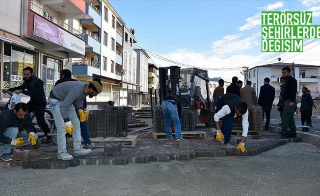 Lice Belediye Başkan Vekili Başak: Lice uyuşturucu ve terörle değil, tarımla anılacak