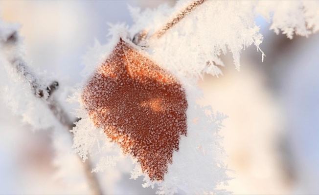 Meteorolojiden 5 il için buzlanma ve don uyarısı
