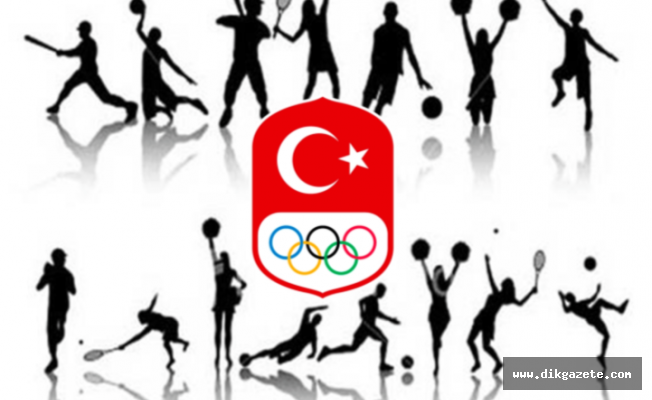 Y&Ouml;K ve TMOK &ouml;rneği ile engelli sporu -3-