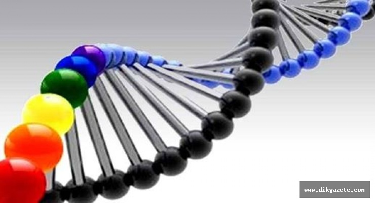 Aşılar, paket gıdalar, spreylerle bozulan DNA ve sonu&ccedil;: Eşcinsellik ile kişilik değişimi!