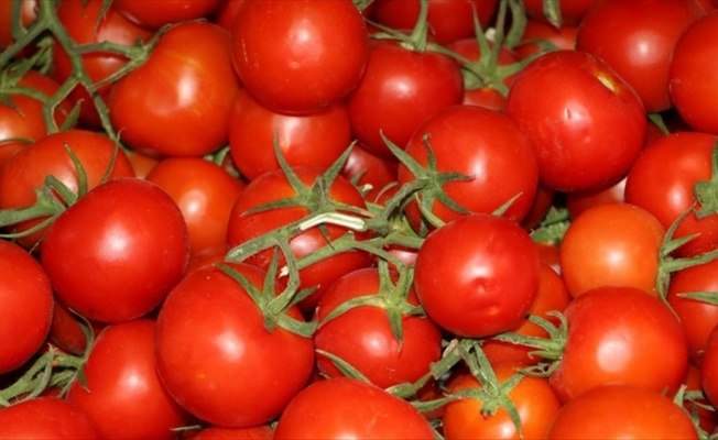 İstanbullular ge&ccedil;en yıl en &ccedil;ok domates ve patates t&uuml;ketti