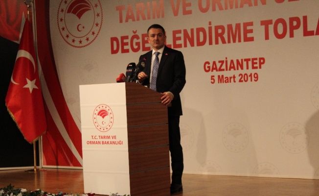 “2-3 yıl içinde kırmızı eti ihraç edecek duruma geleceğiz”