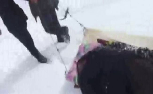 Karda 2 kilometre branda üzerinde sürüklenerek kurtarıldı