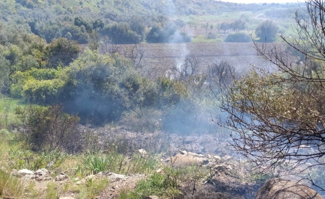 Ayvalık’taki orman yangınında 6 dönüm alan zarar gördü