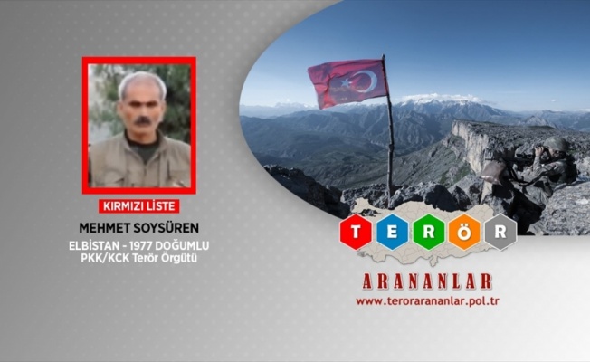 Kırmızı listedeki PKK'lı Soysüren etkisiz hale getirildi