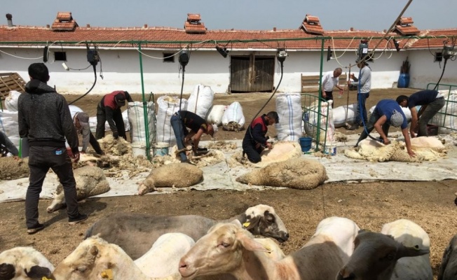 Öğrencilerin gözleri önünde akıma kapıldılar: 1 ölü, 1 yaralı