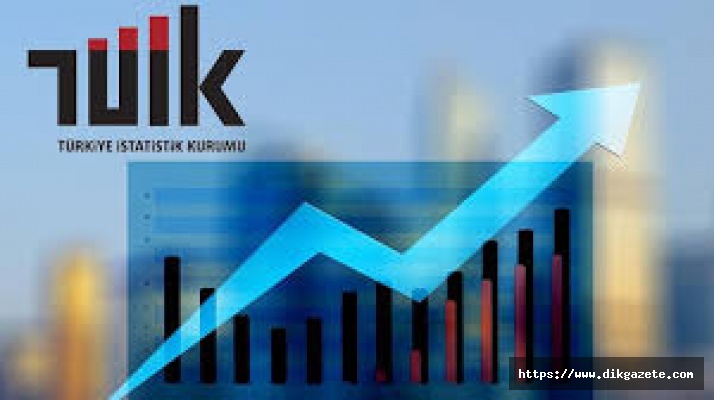 TÜİK bu yıl 93 konuda istatistik üretecek