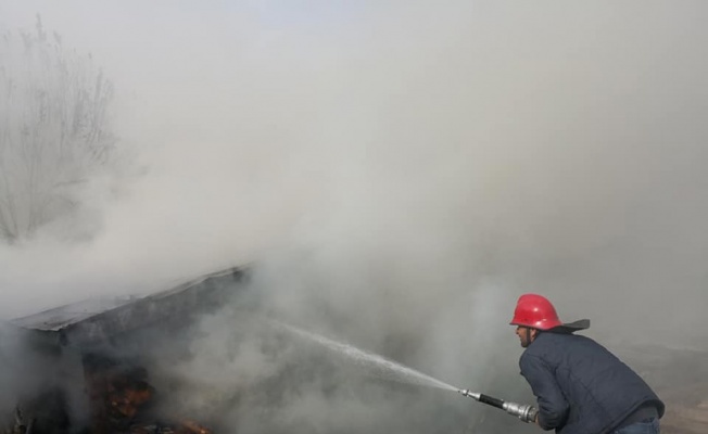 Bolu’da çıkan yangın traktör ve odunluğu küle döndürdü