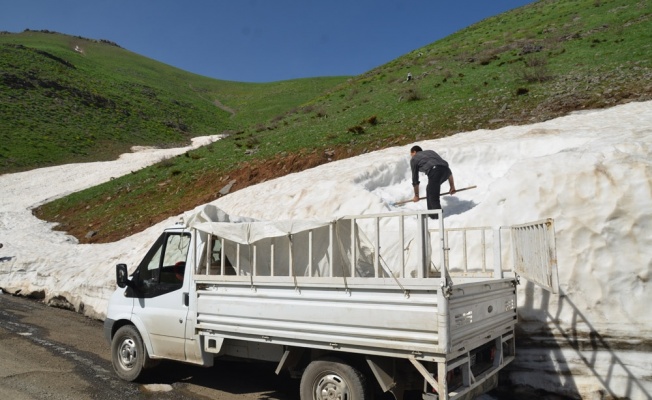 Dağlardan topladıkları karları ilçede sattılar