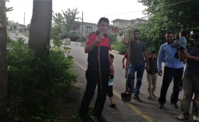 Kuş kafesine girmeye çalışan yılan tellere sıkışınca itfaiye kurtardı