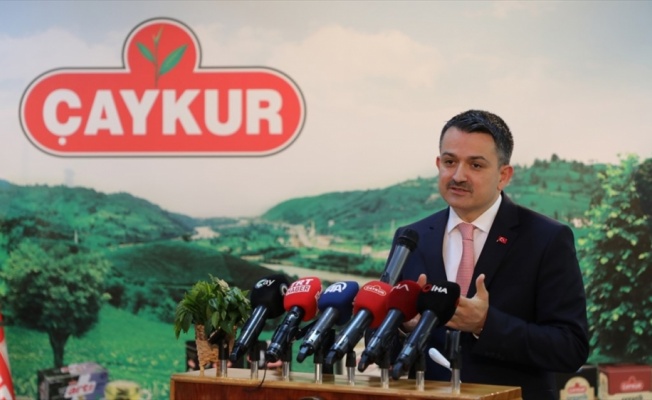 Tarım ve Orman Bakanı Pakdemirli: İnşallah &ccedil;ok g&uuml;zel bir &ccedil;ay sezonu yaşayacağız