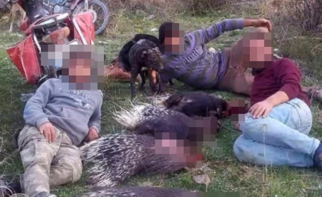 Avladıkları kirpilerle poz verdiler, 13 bin 897 lira ceza yediler