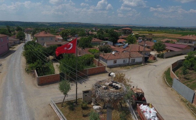 Leylek yavruları uçuşa hazırlanıyor