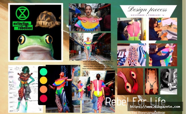 TED Rönesans Koleji Lise öğrencisinden uluslararası başarı