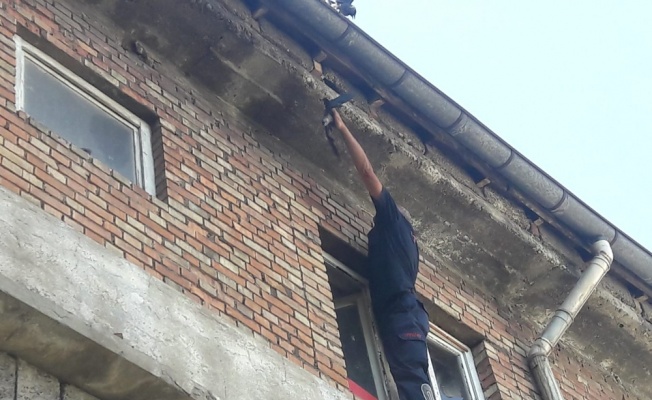 Yavru kargayı kurtarmaya &ccedil;alışan itfaiye ekipleri anne karganın saldırısına uğradı