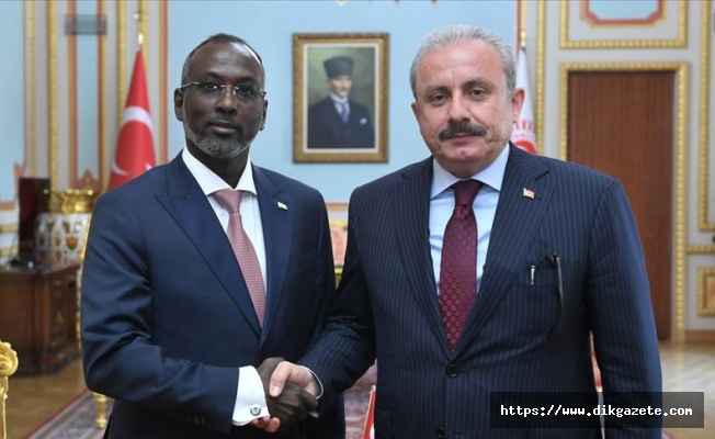 Cibuti Ulusal Meclis Başkanı Hamed TBMM'de