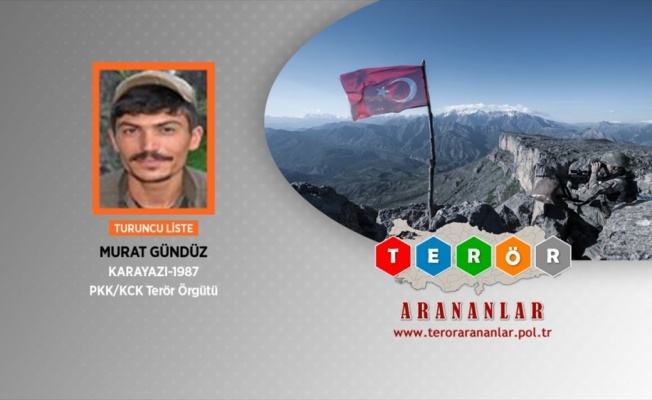 Turuncu kategorideki terörist etkisiz hale getirildi